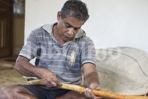 Abtrennen der Zimtinnenrinde (Sri Lanka, PODIE) - lobOlmo Fair-Trade-Fotoarchiv