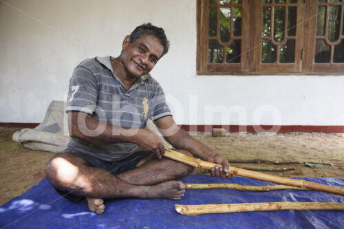 Abtrennen der Zimtinnenrinde (Sri Lanka, PODIE) - lobOlmo Fair-Trade-Fotoarchiv