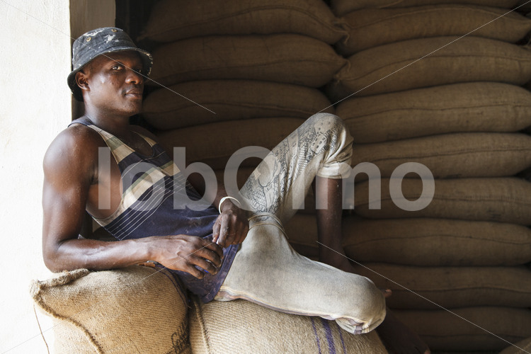 Arbeiter im Kakaolager (Ghana, ABOCFA) - lobOlmo Fair-Trade-Fotoarchiv