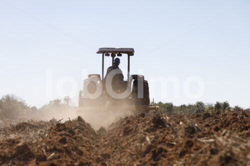 Aussaat von Zuckerrohr (Paraguay, Manduvira) - lobOlmo Fair-Trade-Fotoarchiv