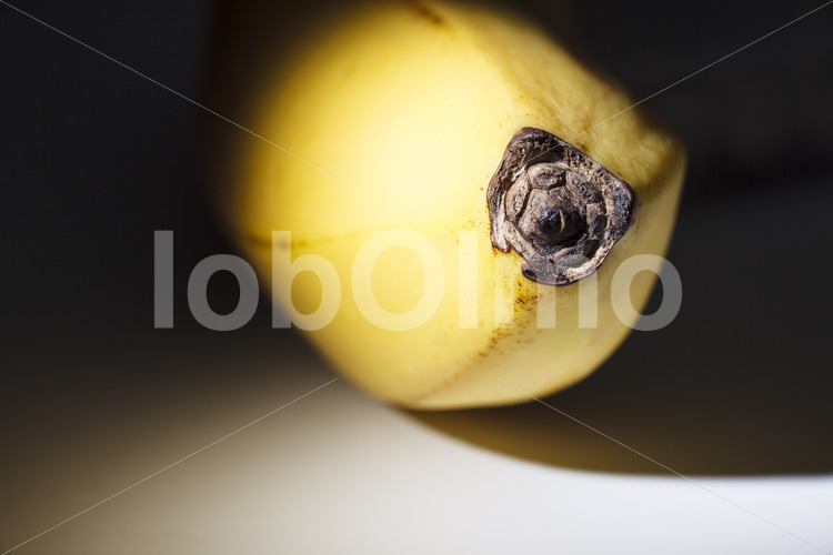 Banane (Ecuador, UROCAL) - lobOlmo Fair-Trade-Fotoarchiv