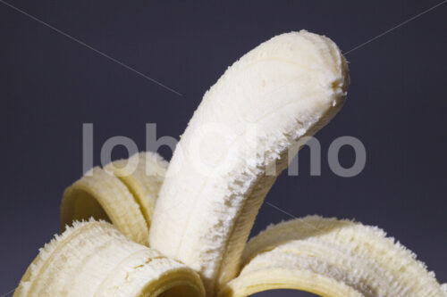 Banane (Ecuador, UROCAL) - lobOlmo Fair-Trade-Fotoarchiv