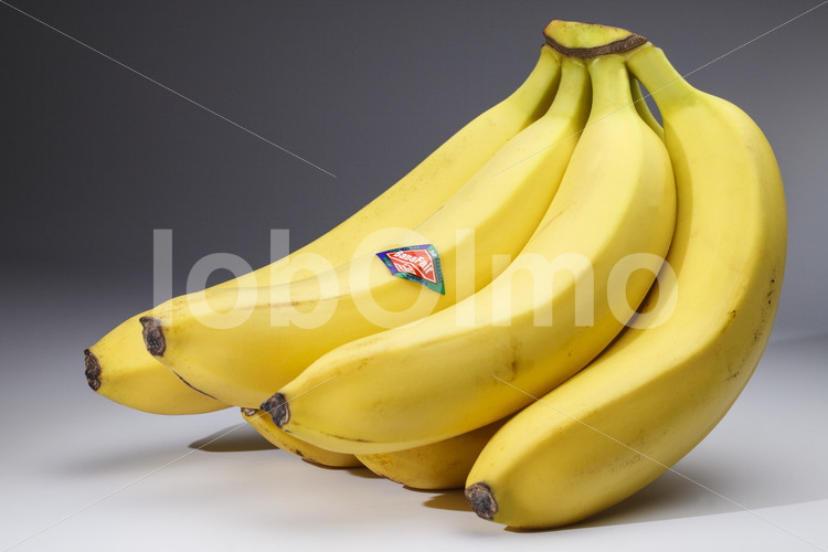 Bananen (Ecuador, UROCAL) - lobOlmo Fair-Trade-Fotoarchiv
