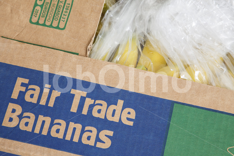 Bananen aus Ecuador (Deutschland, UROCAL) - lobOlmo Fair-Trade-Fotoarchiv