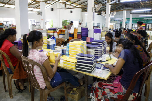 Basteln von Elefantenkot-Papierprodukten (Sri Lanka, MAXIMUS) - lobOlmo Fair-Trade-Fotoarchiv