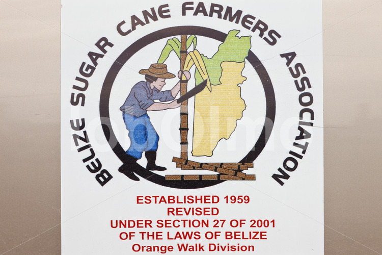 Belize Sugar Cane Farmers Association (Belize, BSCFA) - lobOlmo Fair-Trade-Fotoarchiv