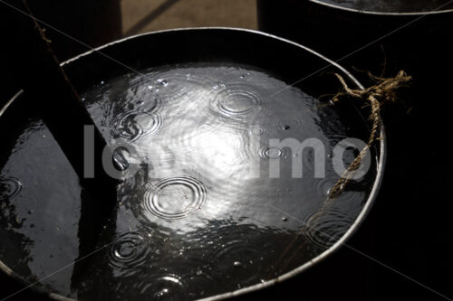 Blanchieren grüner Vanilleschoten (Uganda, Esco) - lobOlmo Fair-Trade-Fotoarchiv