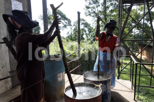 Blanchieren grüner Vanilleschoten (Uganda, Esco) - lobOlmo Fair-Trade-Fotoarchiv