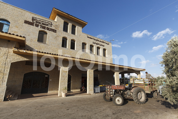 CANAAN-Ölmühle (Palästina, CANAAN) - lobOlmo Fair-Trade-Fotoarchiv