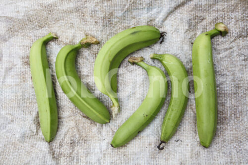 Deformierte, für den Export ungeeignete Bananen (Ecuador, UROCAL) - lobOlmo Fair-Trade-Fotoarchiv