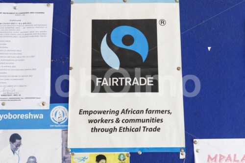 FAIRTRADE stärkt Bauernfamilien (Tansania, RBTC-JE/WATCO) - lobOlmo Fair-Trade-Fotoarchiv