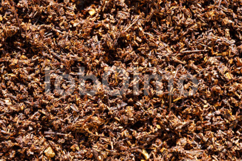 Fermentieren von Rooibos (Südafrika, Heiveld) - lobOlmo Fair-Trade-Fotoarchiv