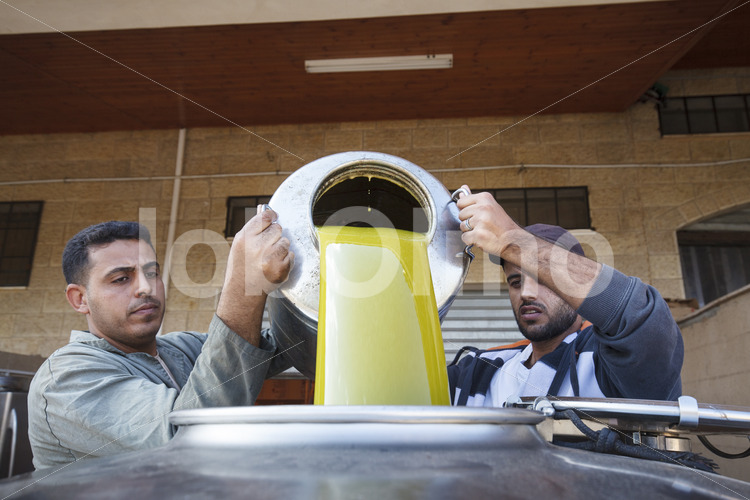Frisch gepresstes Olivenöl (Palästina, CANAAN) - lobOlmo Fair-Trade-Fotoarchiv