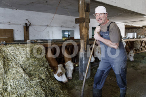 Füttern von Milchkühen (Deutschland, Molkerei BGD) - lobOlmo Fair-Trade-Fotoarchiv