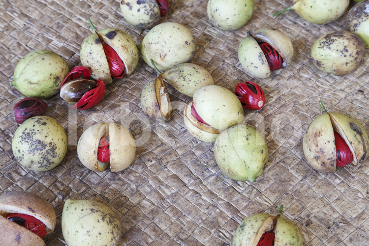 Geerntete Muskatfrüchte (Sri Lanka, SOFA/BioFoods) - lobOlmo Fair-Trade-Fotoarchiv