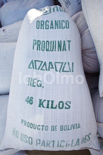 Geerntete Quinoa (Bolivien, ANAPQUI) - lobOlmo Fair-Trade-Fotoarchiv