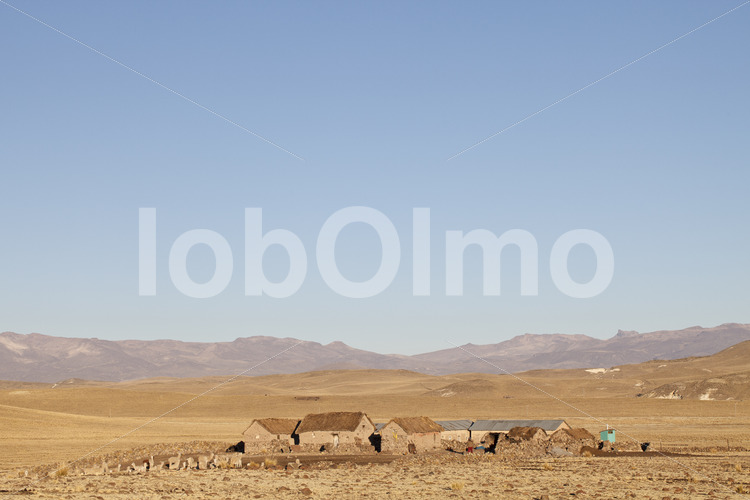 Gehöft eines Alpaka-Hirten (Peru, CIAP) - lobOlmo Fair-Trade-Fotoarchiv