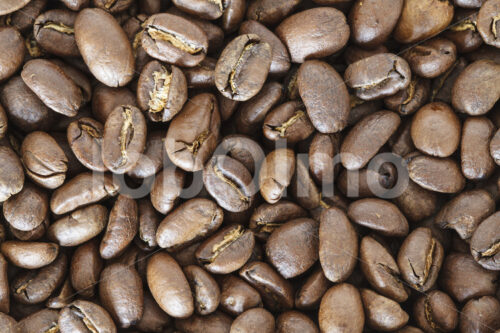 Geröstete Kaffeebohnen (Peru, COCLA) - lobOlmo Fair-Trade-Fotoarchiv