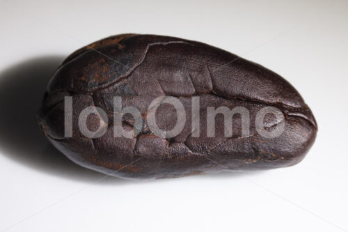 Geröstete Kakaobohne (Deutschland) - lobOlmo Fair-Trade-Fotoarchiv