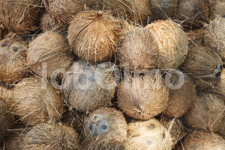 Geschälte Kokosnüsse (Sri Lanka, MOPA/BioFoods) - lobOlmo Fair-Trade-Fotoarchiv