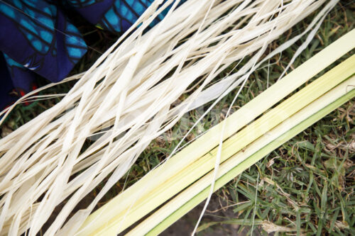 Getrocknete Palmblätter (Uganda, Bwindi Handmade) - lobOlmo Fair-Trade-Fotoarchiv