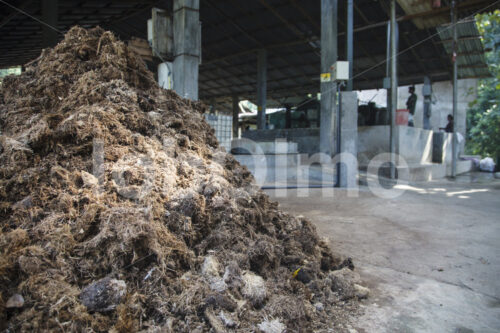 Getrockneter Elefantenkot (Sri Lanka, MAXIMUS) - lobOlmo Fair-Trade-Fotoarchiv