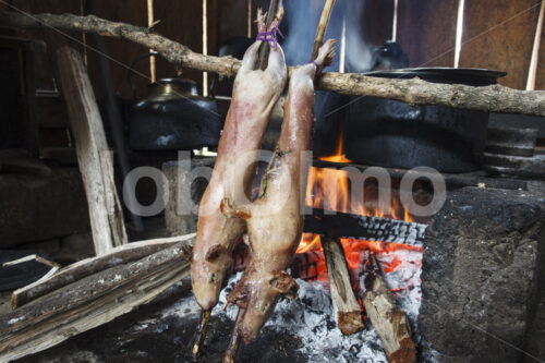 Grillen von Meerschweinchen (Peru, COCLA) - lobOlmo Fair-Trade-Fotoarchiv