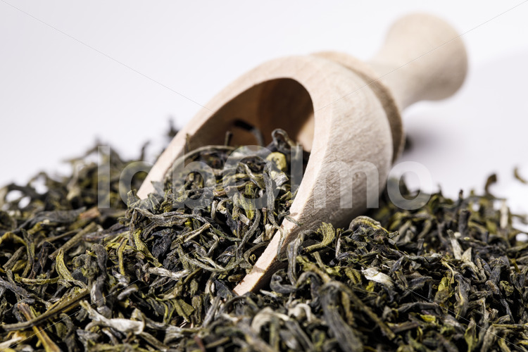 Grüner Tee (Nepal, KTE) - lobOlmo Fair-Trade-Fotoarchiv