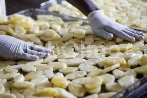 Herstellen von Trockenananas (Tansania, Matunda Mema) - lobOlmo Fair-Trade-Fotoarchiv