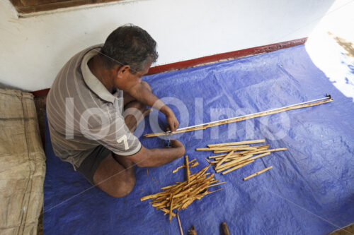 Herstellen von Zimtquills (Sri Lanka, PODIE) - lobOlmo Fair-Trade-Fotoarchiv