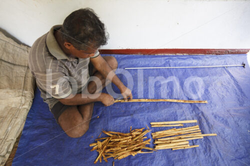 Herstellen von Zimtquills (Sri Lanka, PODIE) - lobOlmo Fair-Trade-Fotoarchiv