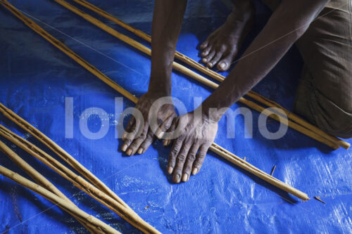 Herstellen von Zimtquills (Sri Lanka, SOFA/BioFoods) - lobOlmo Fair-Trade-Fotoarchiv