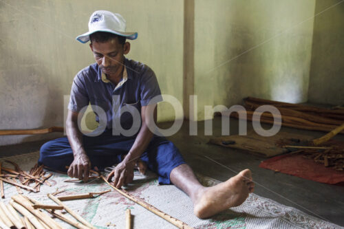 Herstellen von Zimtquills (Sri Lanka, SOFA/BioFoods) - lobOlmo Fair-Trade-Fotoarchiv