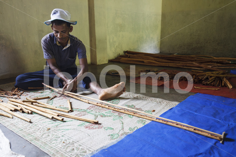Herstellen von Zimtquills (Sri Lanka, SOFA/BioFoods) - lobOlmo Fair-Trade-Fotoarchiv