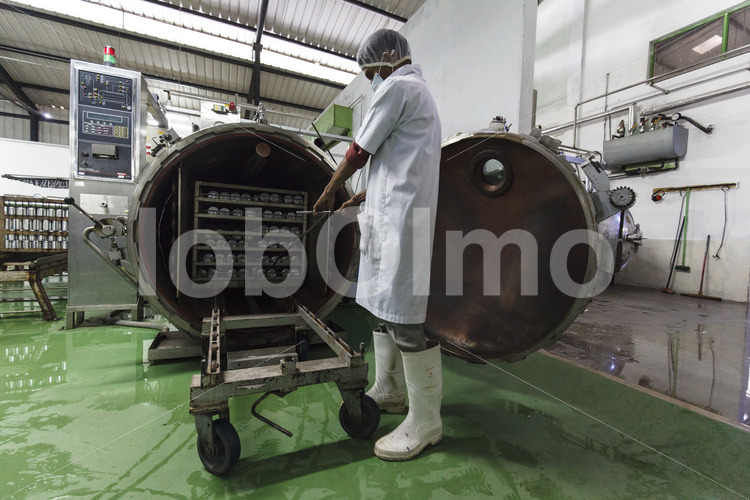 Industrielle Kokosmilchherstellung (Sri Lanka, MOPA/BioFoods) - lobOlmo Fair-Trade-Fotoarchiv