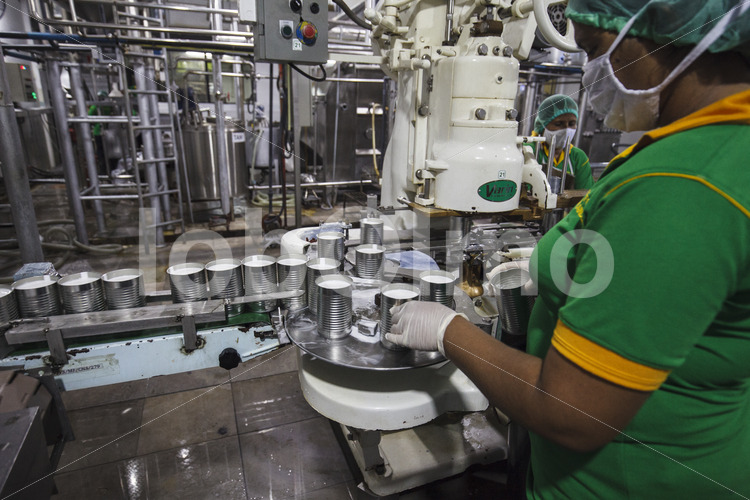 Industrielle Kokosmilchherstellung (Sri Lanka, MOPA/BioFoods) - lobOlmo Fair-Trade-Fotoarchiv