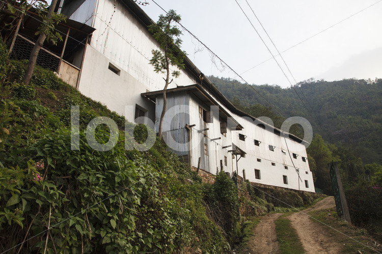 KTE-Teefabrik (Nepal, KTE) - lobOlmo Fair-Trade-Fotoarchiv