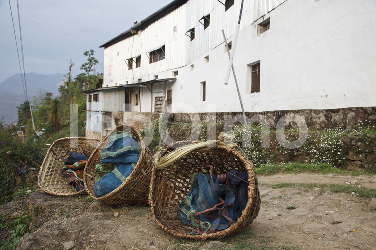 KTE-Teefabrik (Nepal, KTE) - lobOlmo Fair-Trade-Fotoarchiv