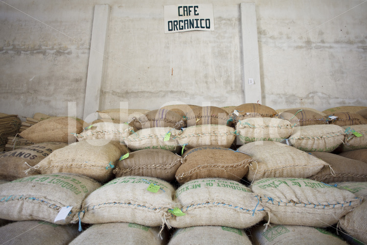 Kaffeelager (Mexiko, UCOAAC) - lobOlmo Fair-Trade-Fotoarchiv