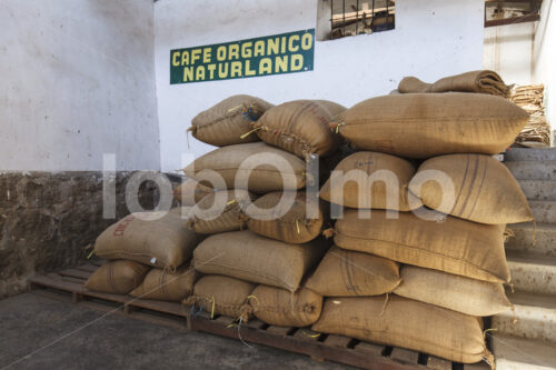 Kaffeelager (Peru, COCLA) - lobOlmo Fair-Trade-Fotoarchiv