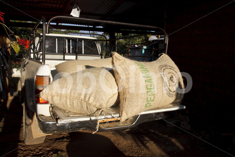 Kaffeesäcke (Mexiko, UCOAAC) - lobOlmo Fair-Trade-Fotoarchiv