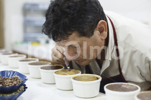 Kaffeeverkostung (Peru, COCLA) - lobOlmo Fair-Trade-Fotoarchiv