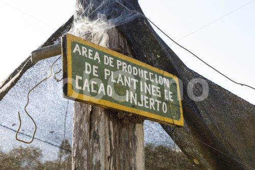 Kakao-Pflanzenschule (Bolivien, EL CEIBO) - lobOlmo Fair-Trade-Fotoarchiv