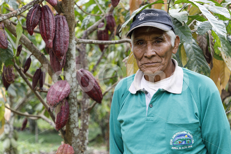 Kakaobauer (Bolivien, EL CEIBO) - lobOlmo Fair-Trade-Fotoarchiv
