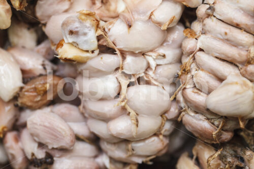 Kakaobohnen vor der Fermentation (Ghana, ABOCFA) - lobOlmo Fair-Trade-Fotoarchiv