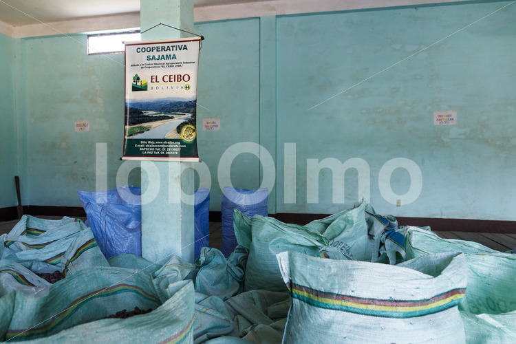 Kakaolager (Bolivien, EL CEIBO) - lobOlmo Fair-Trade-Fotoarchiv