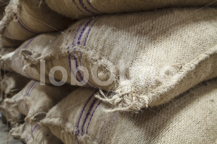 Kakaosäcke (Ghana, Kuapa Kokoo) - lobOlmo Fair-Trade-Fotoarchiv