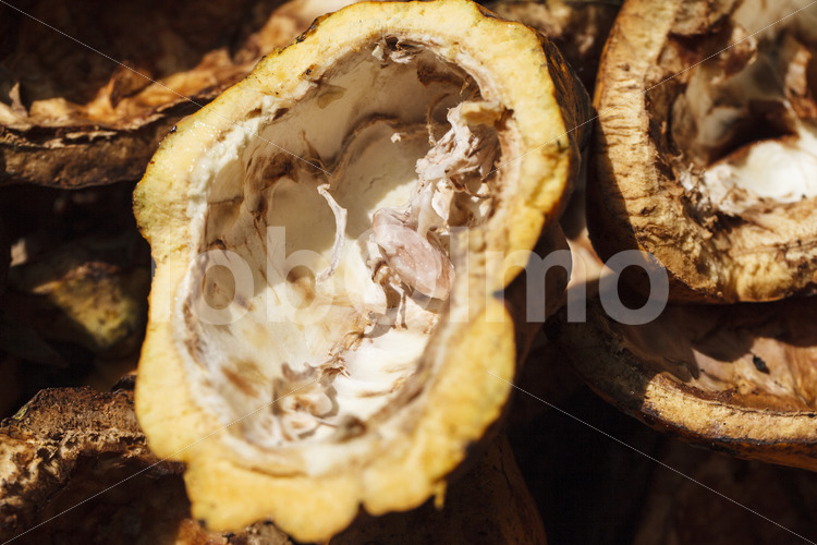 Kakaoschalen (Ghana, ABOCFA) - lobOlmo Fair-Trade-Fotoarchiv