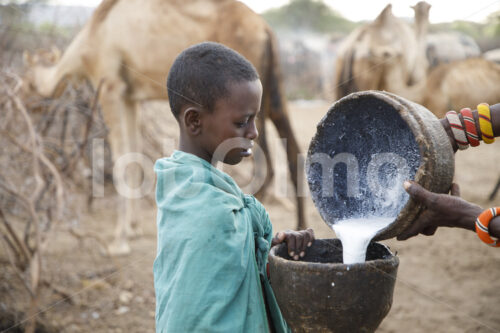 Kamelmilch (Kenia, BeadWORKS) - lobOlmo Fair-Trade-Fotoarchiv