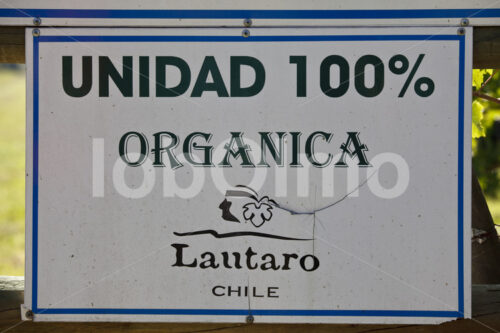 Kleinwinzerverband Vinos Lautaro (Chile, Vinos Lautaro) - lobOlmo Fair-Trade-Fotoarchiv